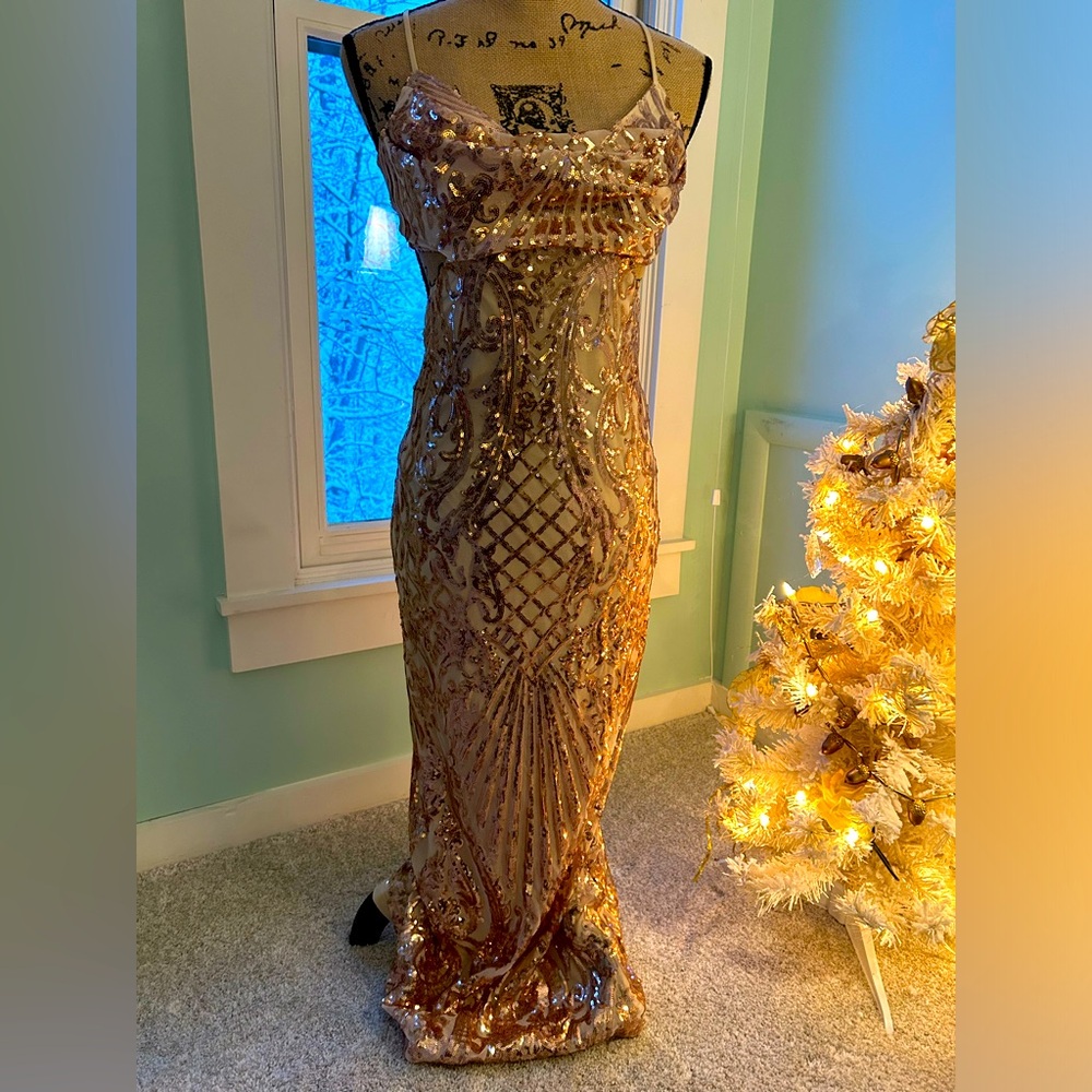 Gold, formal sparkly Dress from Hello Molly